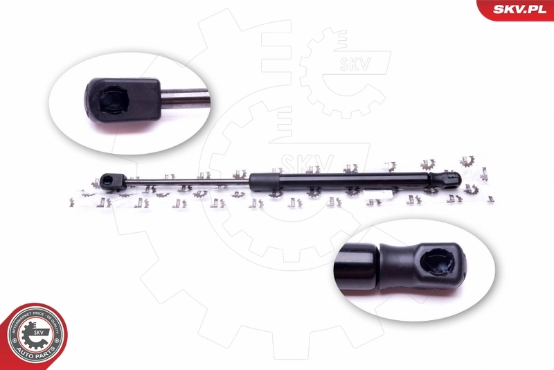 Gas Spring, boot/cargo area